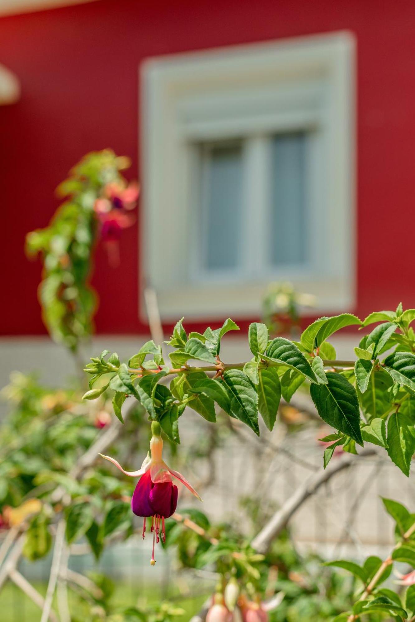 Alges Village Casa 4 By Lisbon-Coast Vacation المظهر الخارجي الصورة
